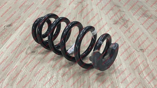 Пружини задні 1EA511103H VAG