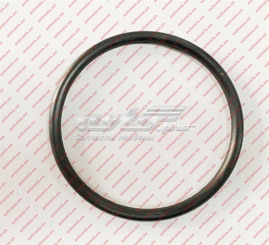 Уплотнительное кольцо топливного насоса,оригинал chery 2386 T11-1106611