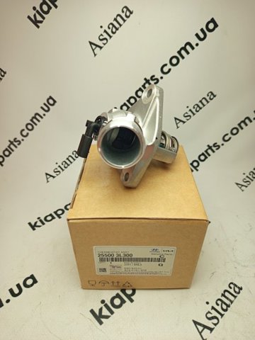 Блок термостата 255003L300 HYUNDAI