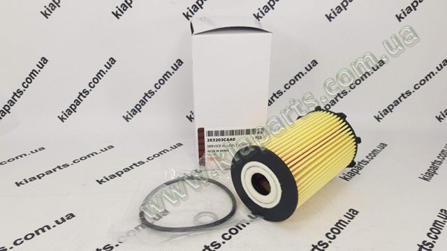 Фільтр масляний ДВЗ 263203CAA0 KAP