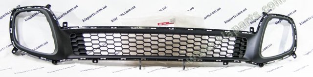 Решітка переднього бампера, центральна 865691Y300 HYUNDAI