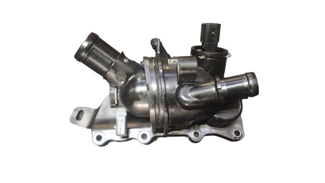 Термостат в зборі 110607087R RENAULT