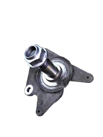 Цапфа поворотна ліва 430190028R RENAULT