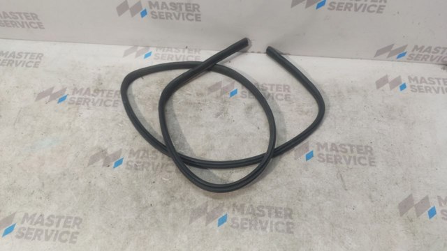 Ущільнювач двері передньої (на кузові) 55360965AA CHRYSLER