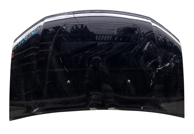 Капот 651001918R RENAULT