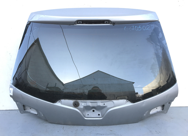 Треті двері 901007607R RENAULT