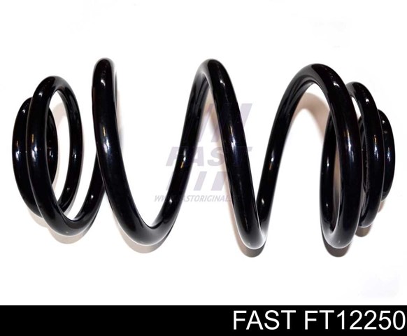 Пружина підвіски задня FT12250 FAST