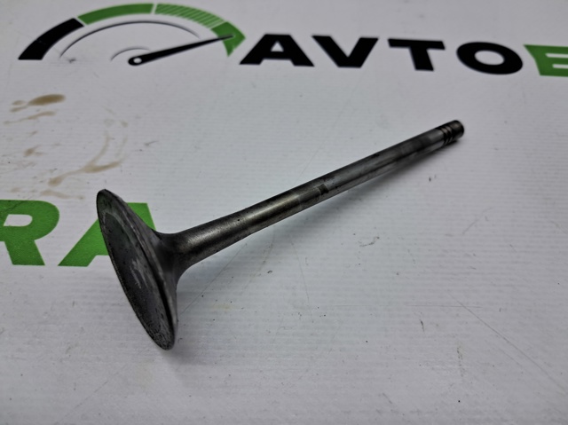 Клапана і штовхачі 06D109601M VAG