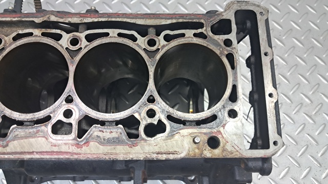 Двигун у зборі 06L100034L VAG