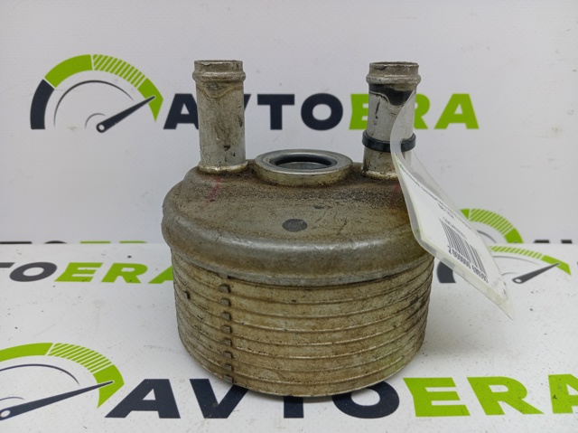 Радіатор охолодження, АКПП 09G409061 VAG