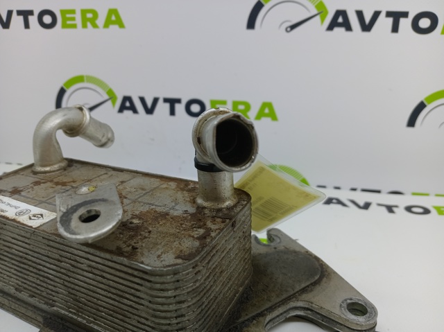 Радіатор охолодження, АКПП 09G409061F VAG