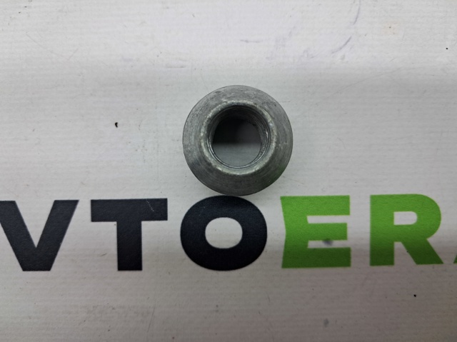 Гайка колеса 102700200B TESLA