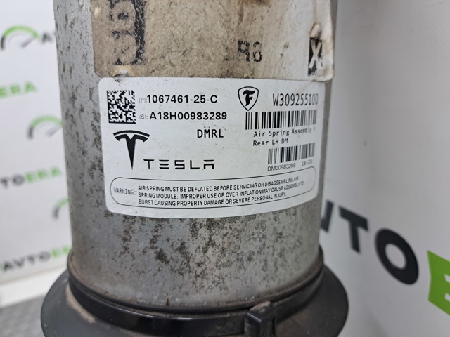 Амортизатор задній, лівий 106746125C TESLA