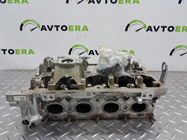 Головка блоку циліндрів 11121019167 BMW