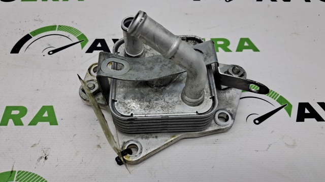Радіатор масляний 1571036030 TOYOTA