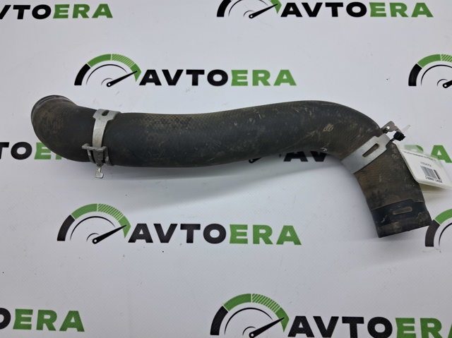 Шланг/патрубок радіатора охолодження, нижній 215034CF0A NISSAN