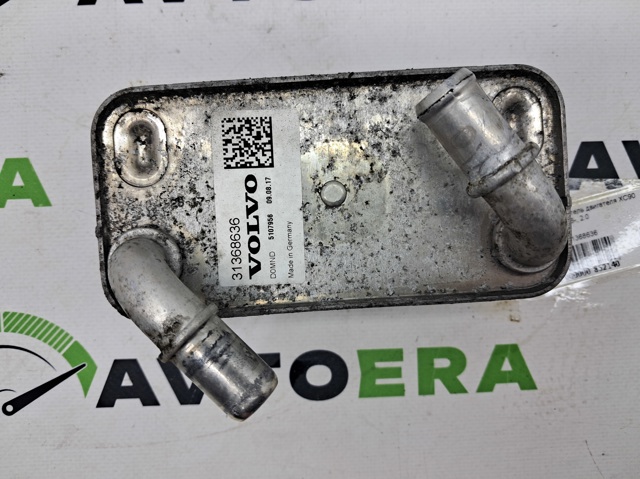 Радіатор масляний 31368636 VOLVO