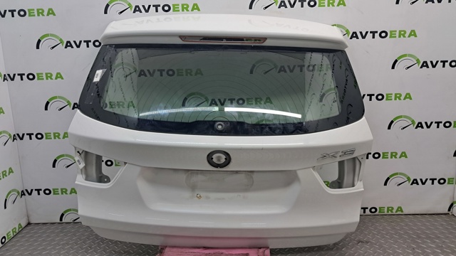 Двері багажника 41007275066 BMW