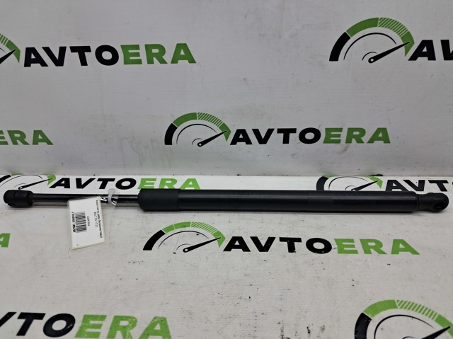 Амортизатор ляди 42841644 GM