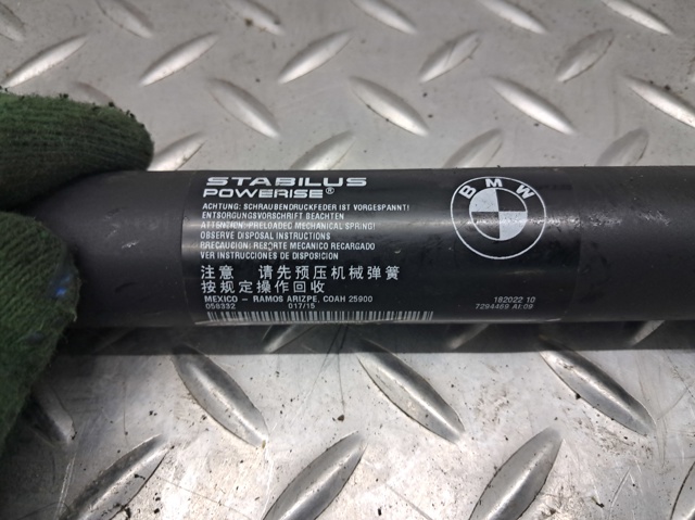 Амортизатор двері задньої 51247294469 BMW