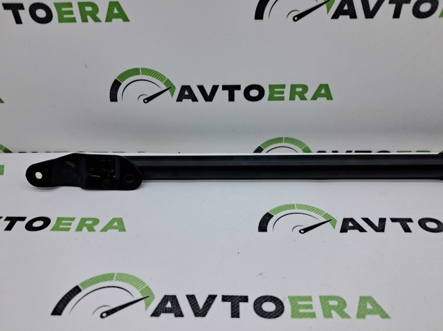 Амортизатор кришки багажника 5NA827550B VAG