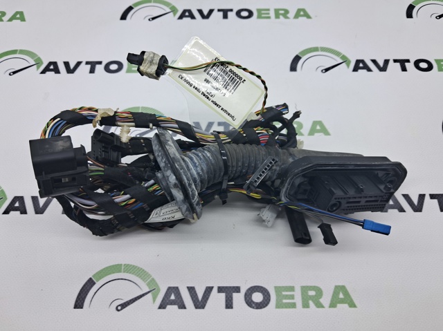 Електропроводка передніх дверей 61129252388 BMW