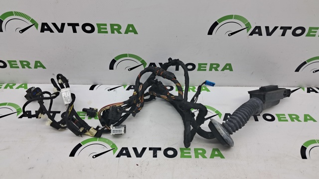 Електропроводка передніх дверей 61129323452 BMW