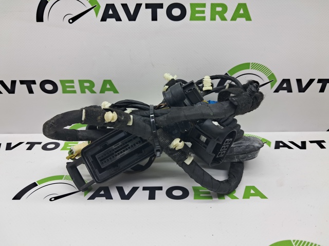 Джгут проводів задніх дверей 61129323481 BMW