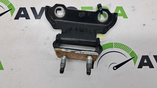 Завіса задніх дверей, ляди 6881048011 TOYOTA