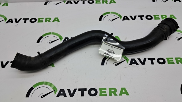 Шланги системи охолодження 8W0122101B VAG