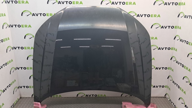 Капот 8W0823029A VAG