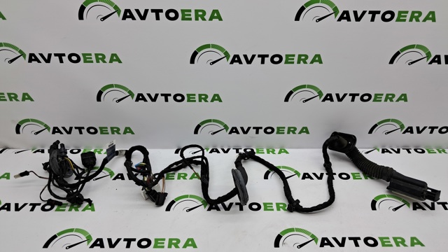 Електропроводка передніх дверей 8W0971029AN VAG