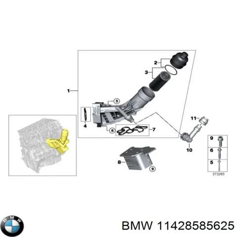 Масляний радіатор охолодження рідини АКПП 11428585625 BMW