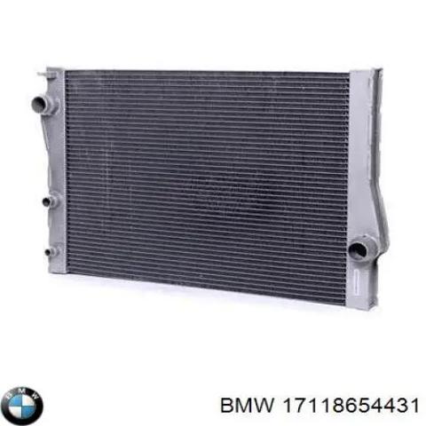 Підвіска радіатора BMW X6