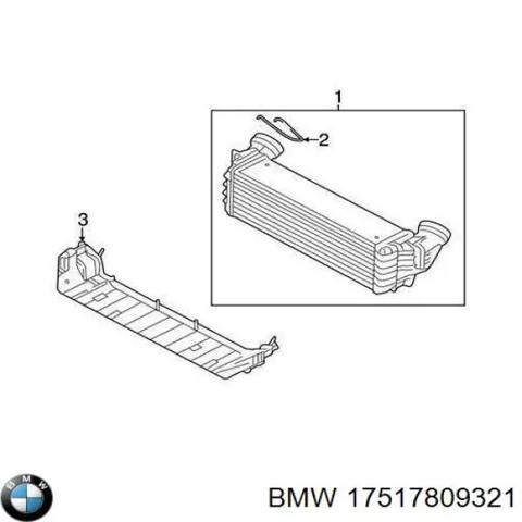 Радіатор інтеркулера 17517809321 BMW
