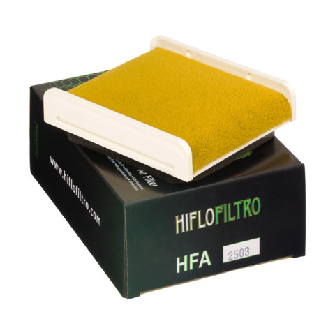 Фільтр повітряний HFA2503 HIFLOFILTRO