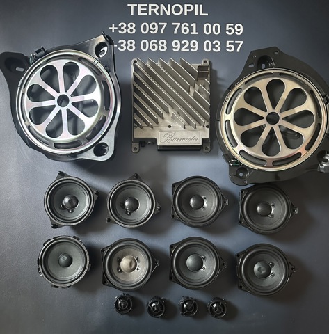 Модуль (ЕБУ) управління акустичною системою A1679008215 MERCEDES