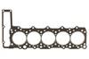 Прокладка головки m 2,9d/td om602 96> HW100850
