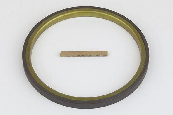 RINGABS GP