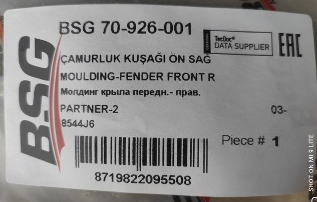 Накладка переднього правого крила BSG70926001 BSG
