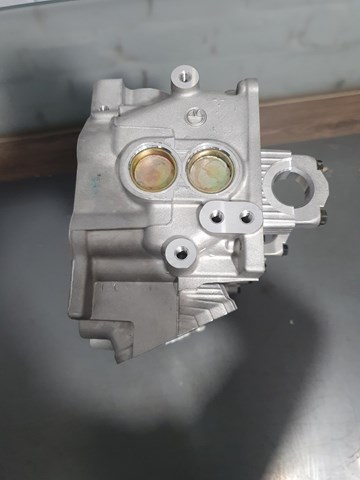 Головка циліндрів 4043225 FORD