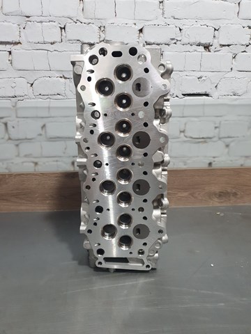 Головка циліндрів 4043225 FORD