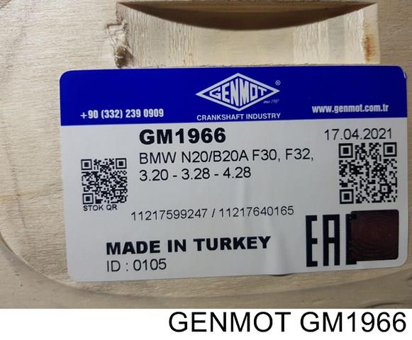 Вал колінчастий і маховик GM1966 GENMOT