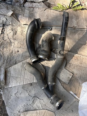 Шланг/патрубок інтеркуллера L1MZ6F073B FORD