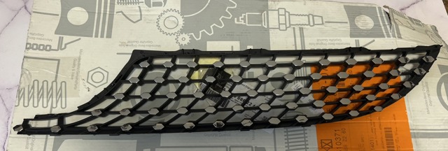 Захисна решітка радіатора A2058881560 MERCEDES