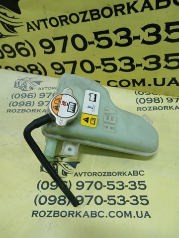 Розширювальний бачок охолодження 254304R000 HYUNDAI