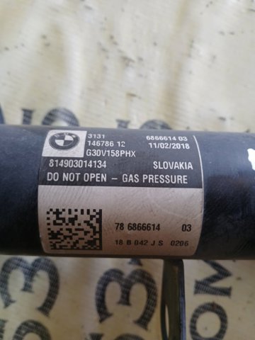 Амортизатор передньої підвіски 31316866614 BMW