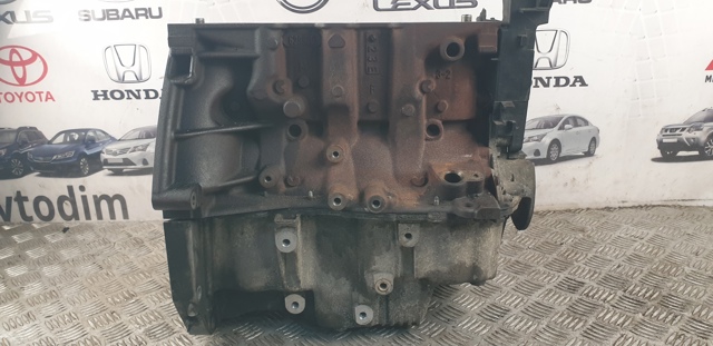 ДВЗ 1010200Q4R NISSAN