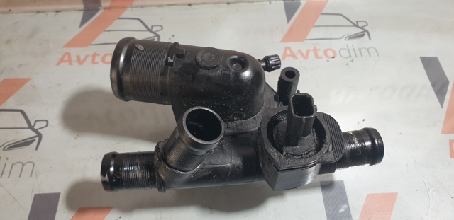 Корпус термостата 1106000Q0C NISSAN