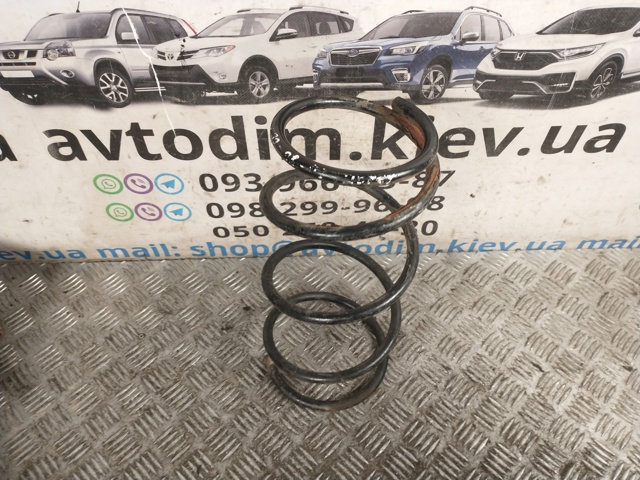 Пружини задні 20380FC130 SUBARU